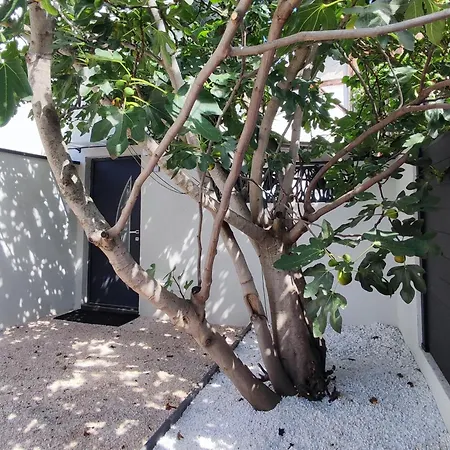 R Luxury Piscine Et Privatifs קולמר