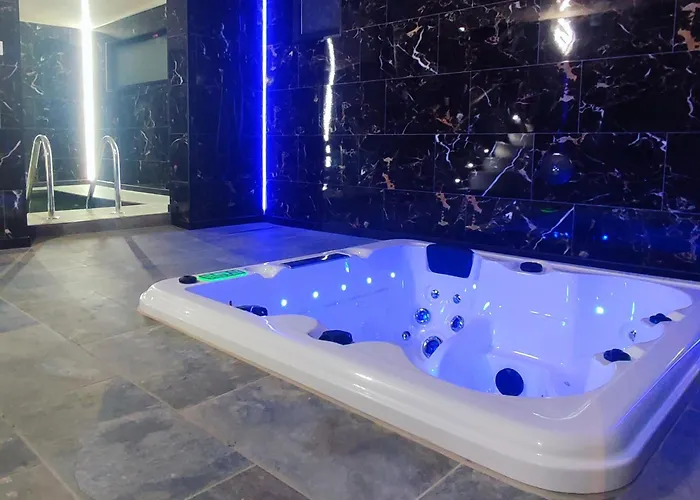 R Luxury Piscine Et Privatifs * 科尔马