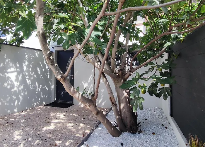 R Luxury Piscine Et Privatifs 科尔马