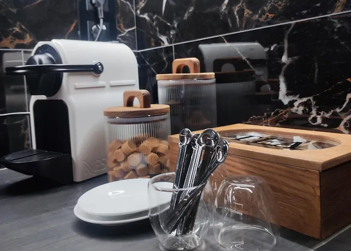 R Luxury Piscine Et Privatifs * 科尔马