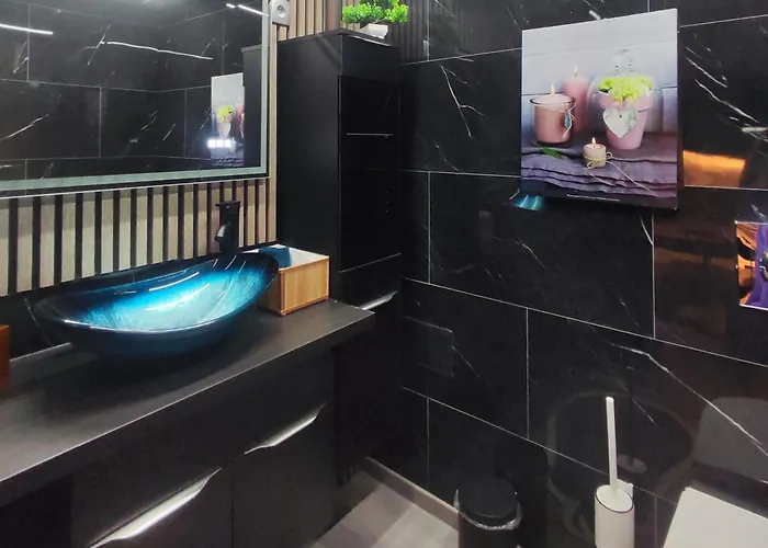 R Luxury Piscine Et Privatifs 度假居 科尔马